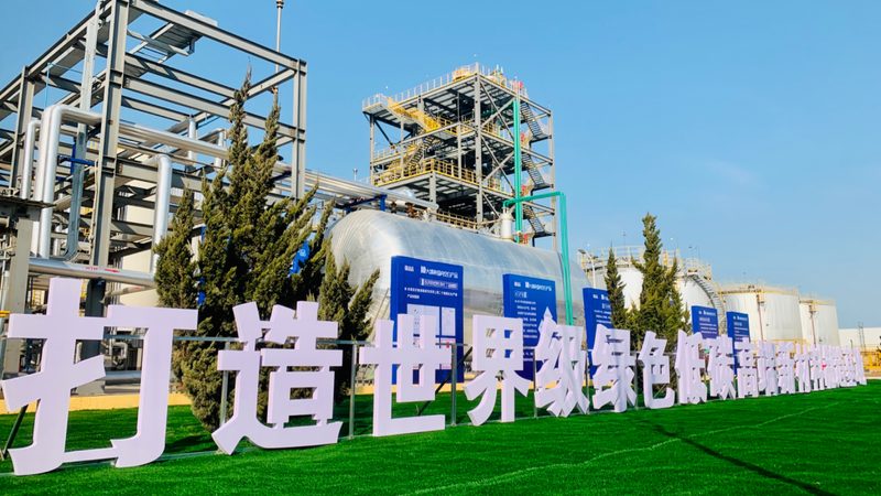 连云港市集团利海化工有限公司