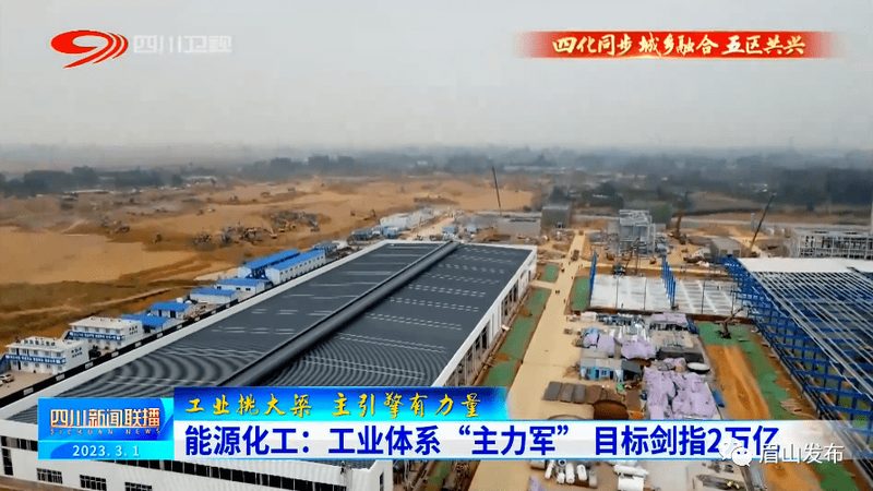 工业添加剂代理加盟市场前景